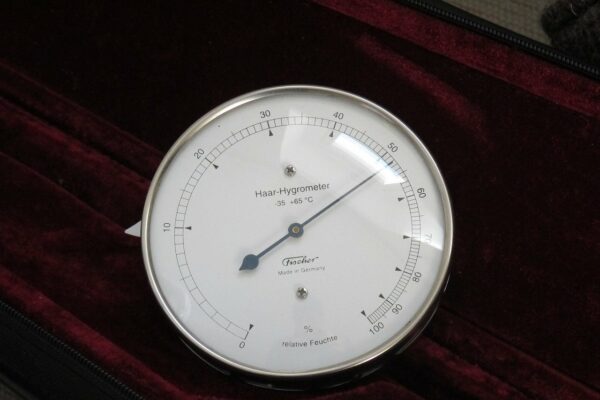 hydrometer luftfeuchtigkeit erhoehen Detailaufnahme Haar-Hygrometer