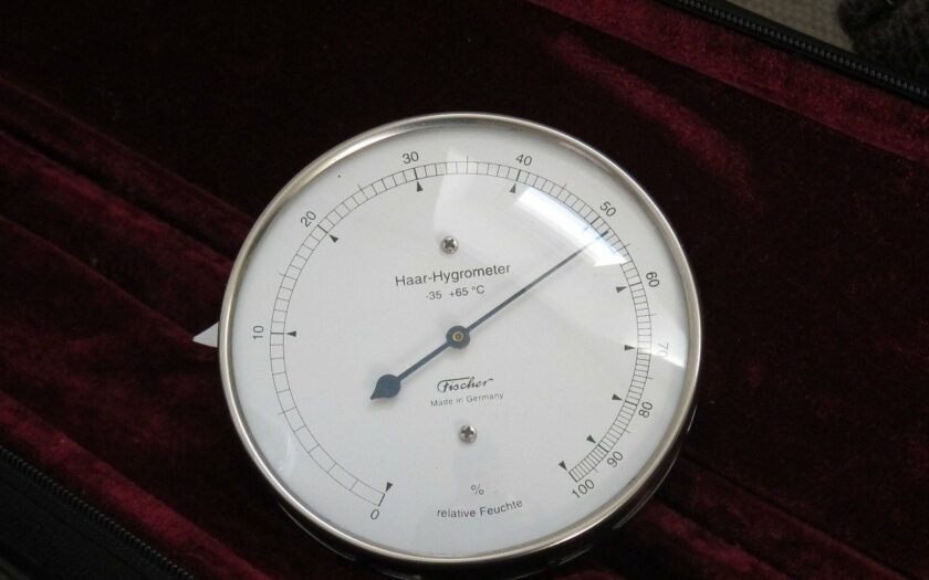 Detailaufnahme Haar-Hygrometer