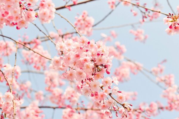 richtig lueften im fruehling Richtig lüften im Frühling