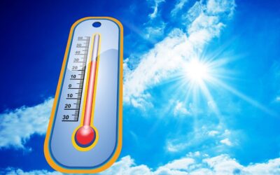 Richtig Lüften im Sommer bei hohen Temperaturen