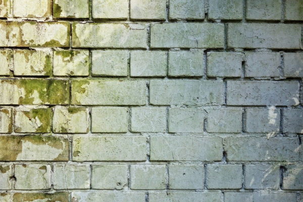 Schimmel an Wand und Mauerwerk