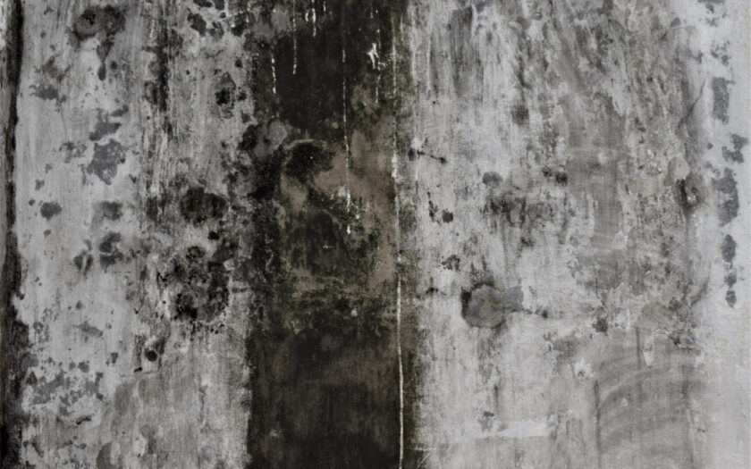 schwarzer Schimmel an einer Wand