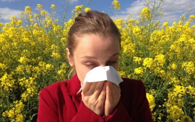 luftbefeuchter-fuer-asthmatiker-und-allergiker