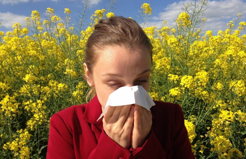 luftbefeuchter-fuer-asthmatiker-und-allergiker