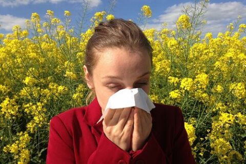 Luftreiniger kaufen zur Vermeidung von Allergien