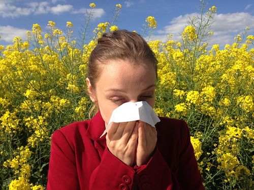 Luftreiniger kaufen zur Vermeidung von Allergien